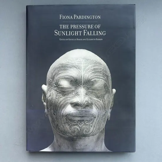 FIONA PARDINGTON: THE PRESSURE OF SUNLIGHT FALLING